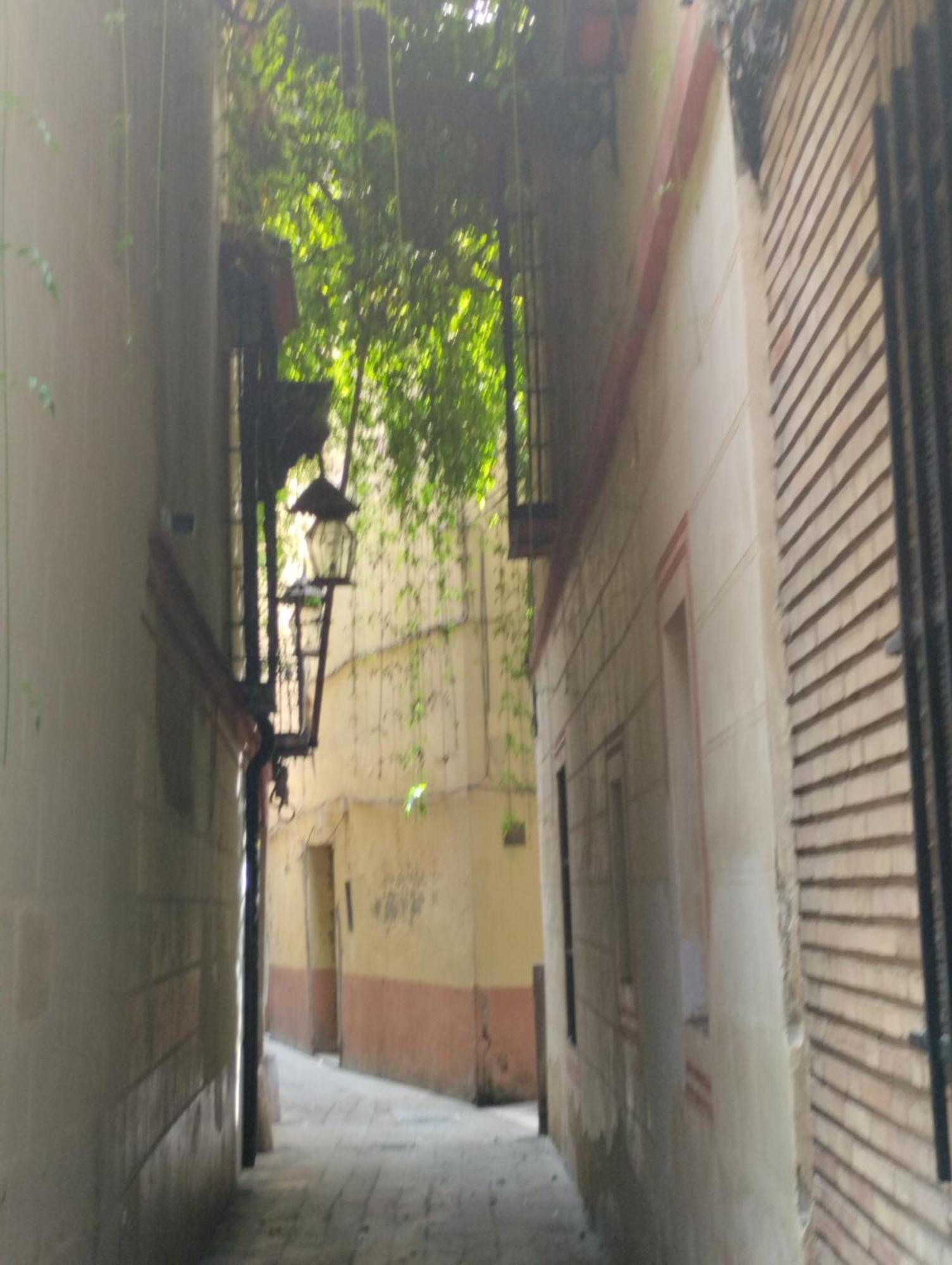 La Casa De Pepa Apartment Seville Luaran gambar