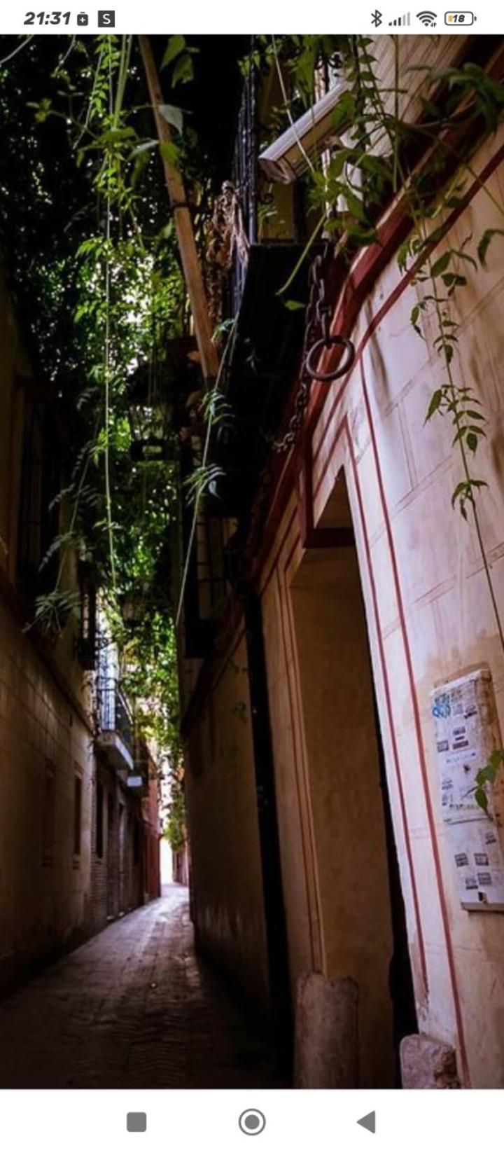 La Casa De Pepa Apartment Seville Luaran gambar